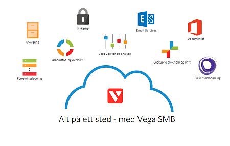 Vega sky